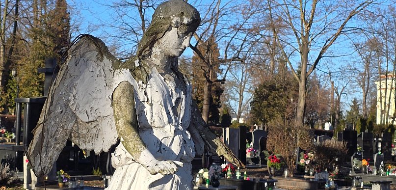 Ostatnie pożegnanie mieszkańców Legnicy. Wspominamy tych, którzy odeszli