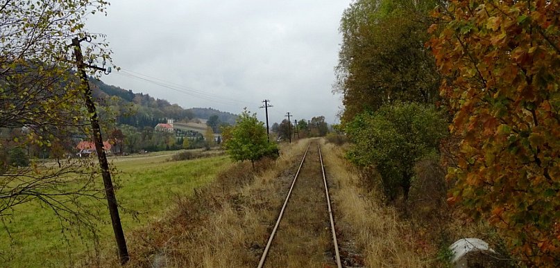 Firma z Milicza wytnie drzewa między Nowym Kościołem a Wojcieszowem