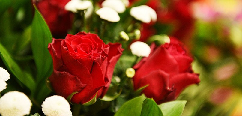 Zdrowia, radości i spełnienia marzeń. Życzenia dla pań z gminy Kunice