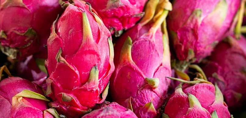 Smoczy owoc gdzie kupić - gdzie znaleźć świeżą pitahayę