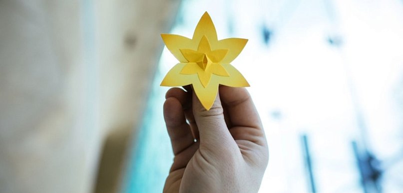 Szkoły mogą dołączyć do akcji Żonkile i upamiętnić powstanie w getcie