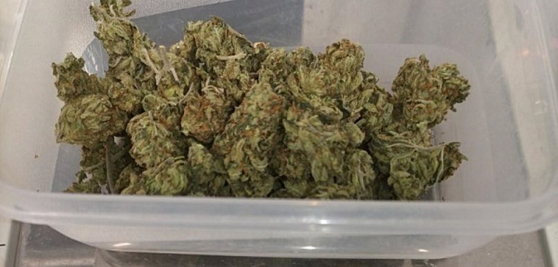 Pojechali do zadymienia, w mieszkaniu marihuana i dwoje dzieci