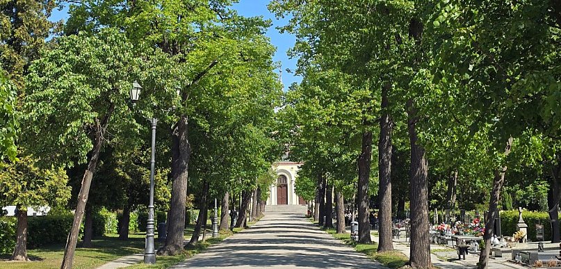Odeszli w minionym tygodniu. Legnica żegna swoich bliskich
