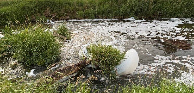 Śnięte ryby i nieznana substancja w Kaczawie w Prochowicach