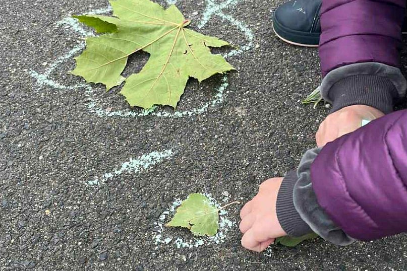 Młodzi odkrywcy przyrody