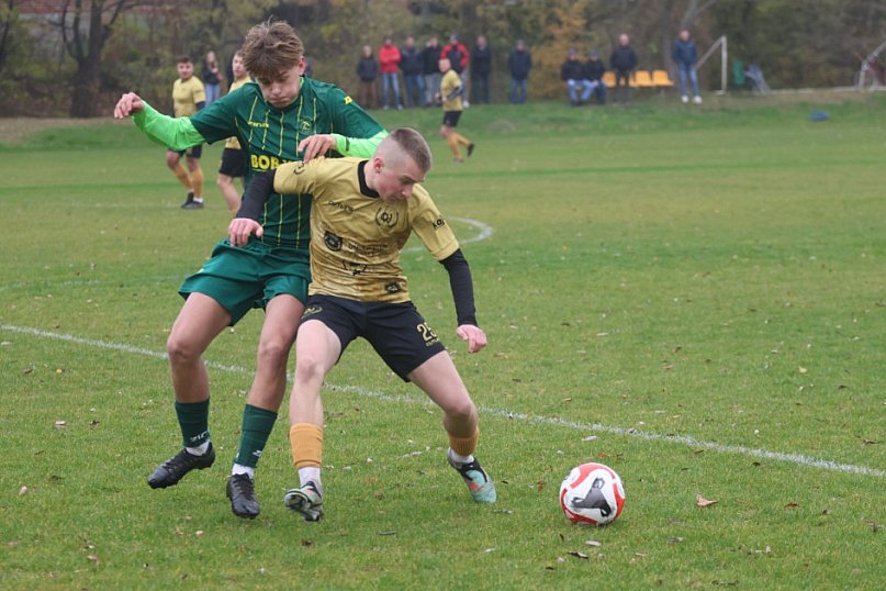 Bazalt Piotrowice górą w Tyńcu Legnickim