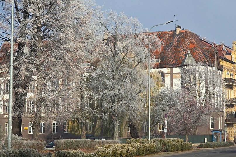 Pierwsze oznaki zimy w Legnicy