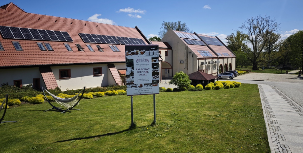 Pałac w Krotoszycach – idealne miejsce na weekendową wycieczkę