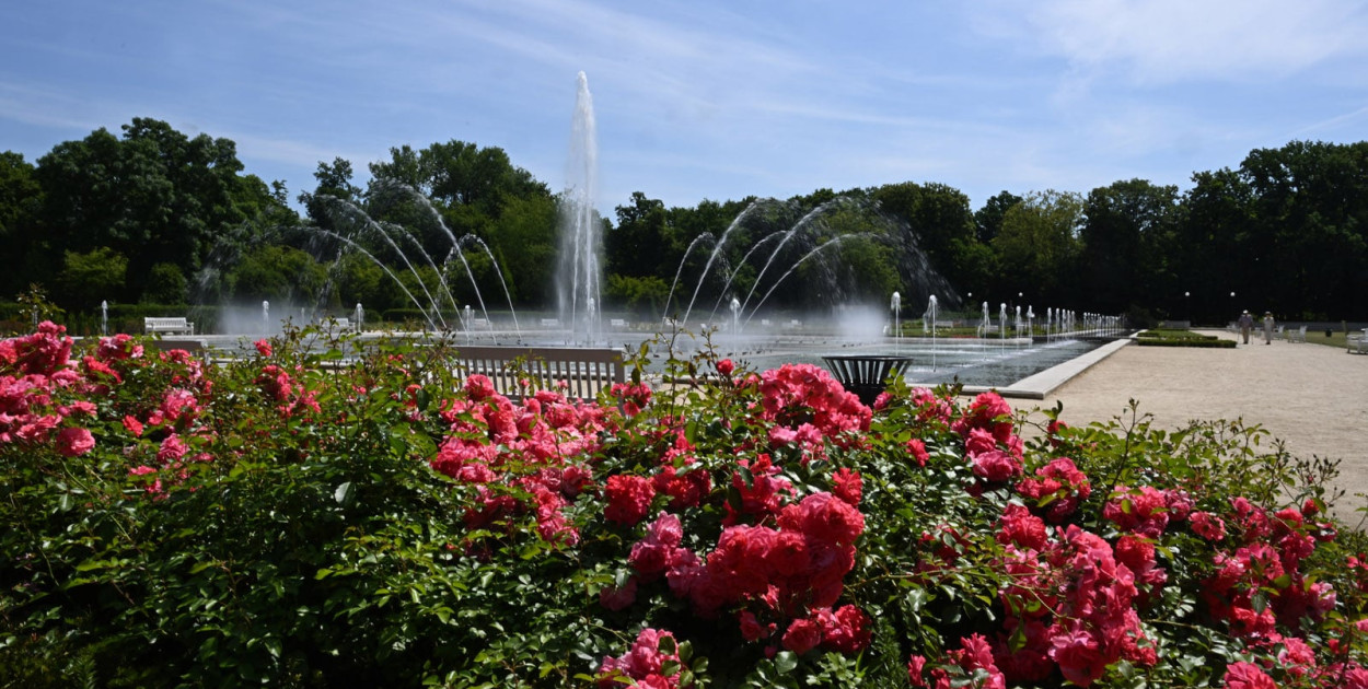 Fontanny tryskają, ptaki się kąpią, trawy pachną w Parku Miejskim