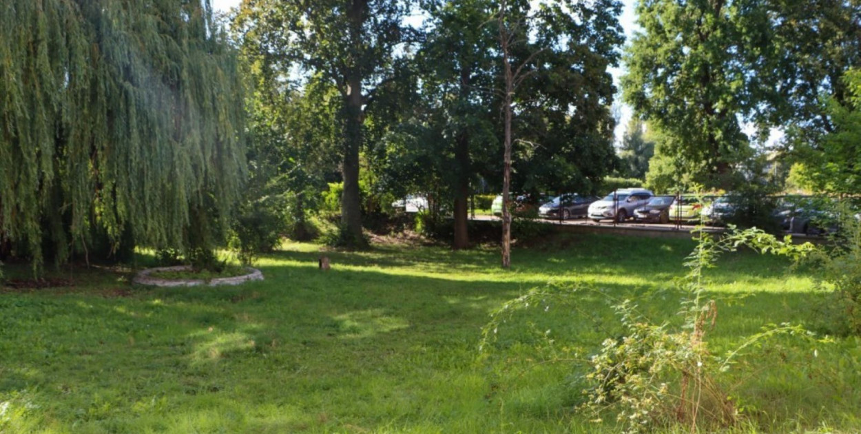 Będzie „Eko-Skwer w sercu miasta” (źródło: UM Legnica)