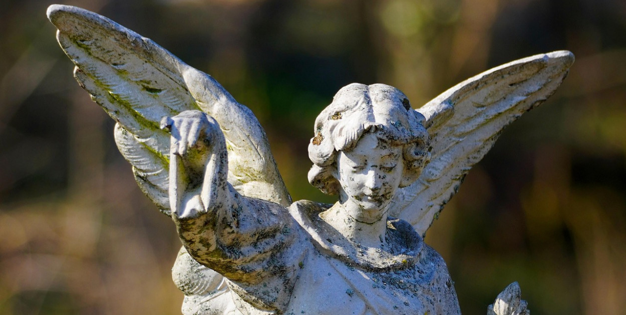 Image by Matthias Böckel from Pixabay