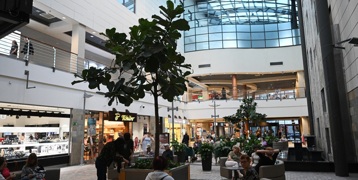 Galeria Piastów (Piotr Florek lca.pl)