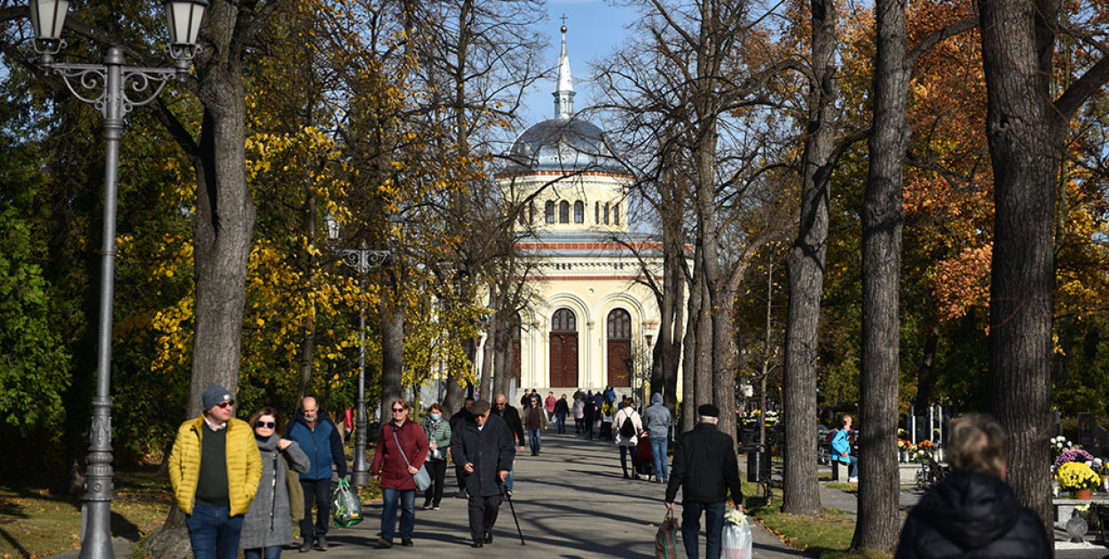 Cmentarz Komunalny przy ulicy Wrocławskiej (Piotr Florek lca.pl)