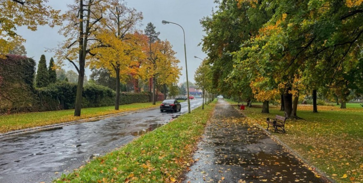 Aal. Ofiar Ludobójstwa OUN UPA (źródło: UM Legnica)