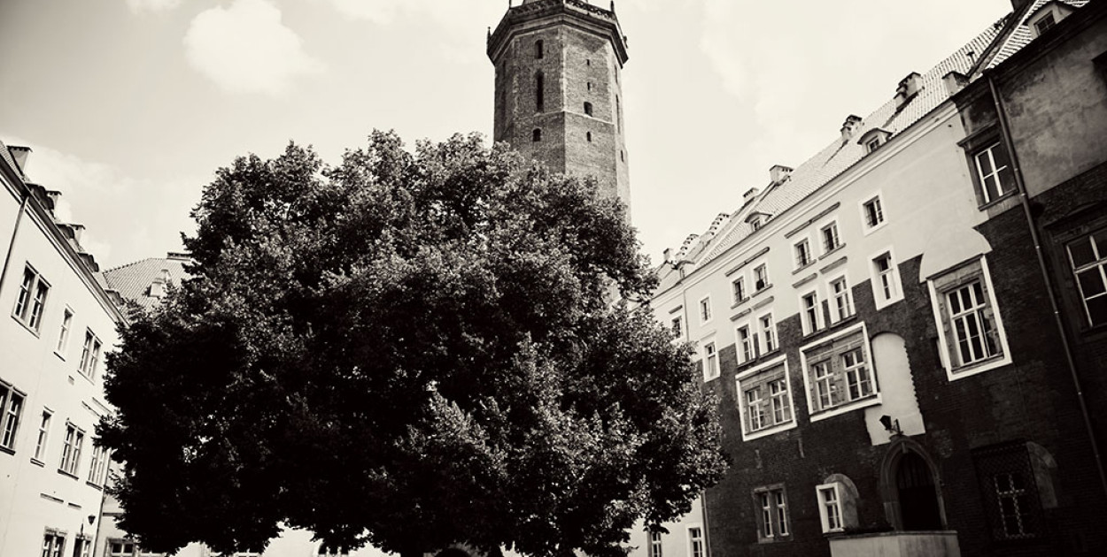 Zamek Piastowski (Piotr Florek lca.pl)