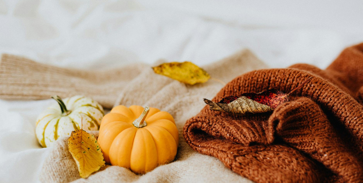 Źródło: pexels.com Licencja: https://www.pexels.com/photo-license/