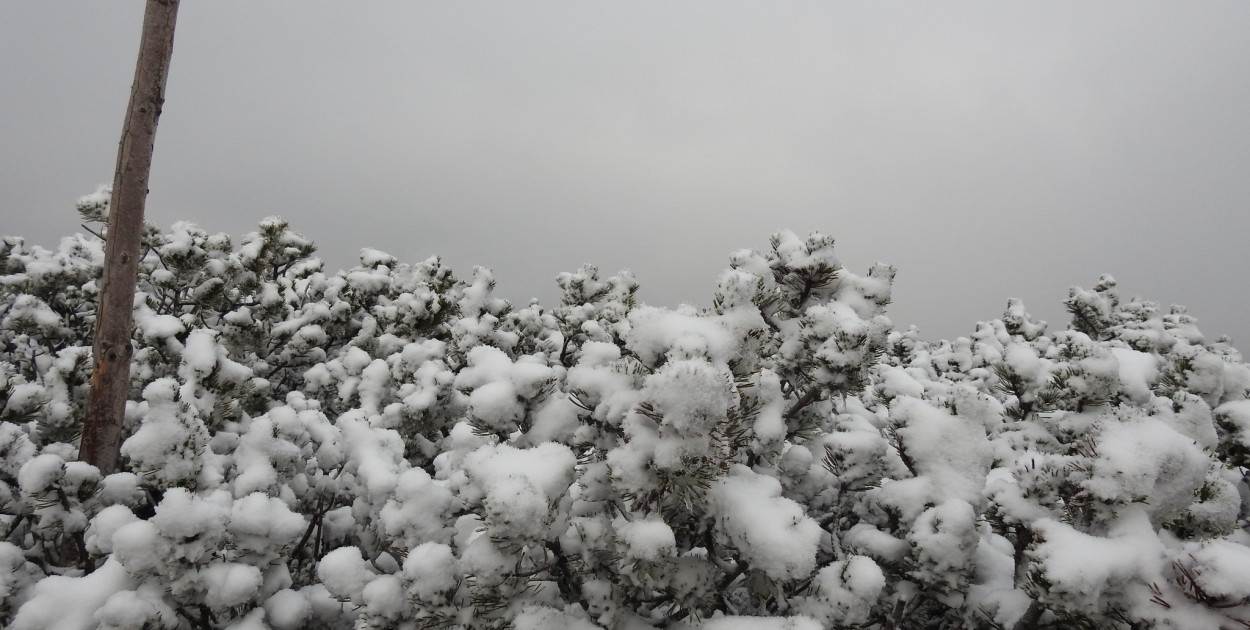 Karkonosze (źróło: Karkonoski Park Narodowy)