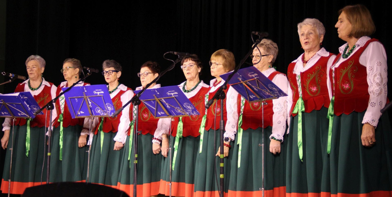  II Dolnośląskie Spotkanie Muzyków Ludowych im. Józefa Majchrzaka, (mat. prasowe)