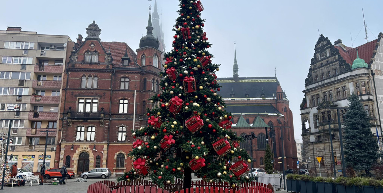 Choinka na placu Słowiańskim (źródło: UM Legnica)