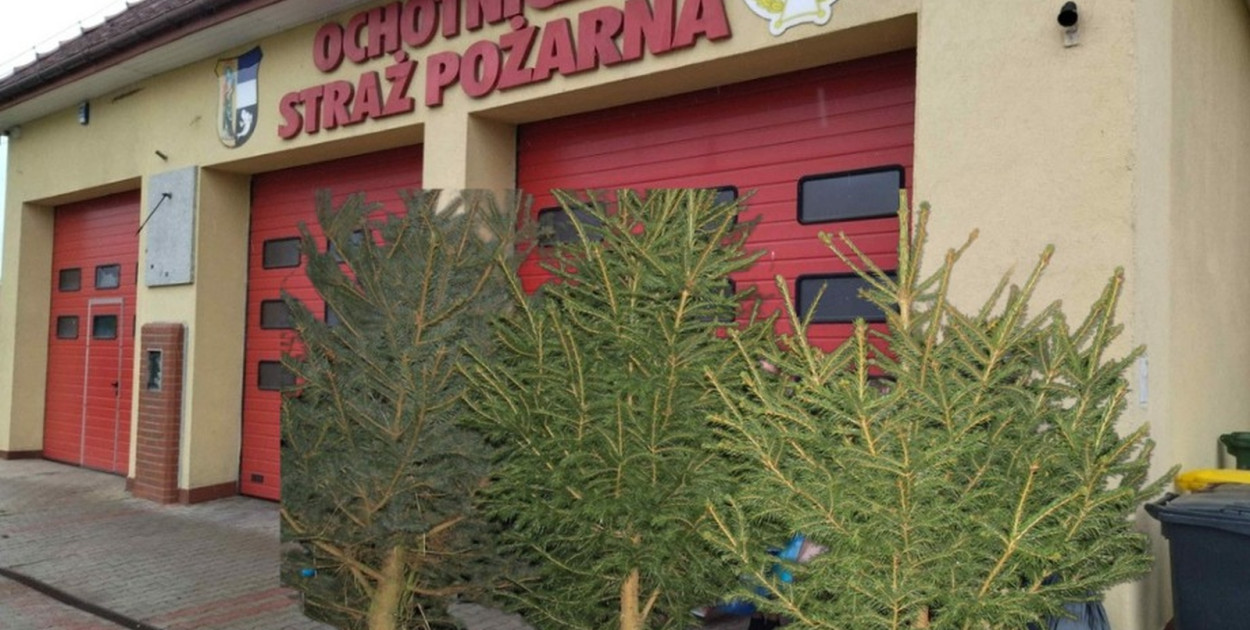 Choinka od Strażaka (lca.pl)