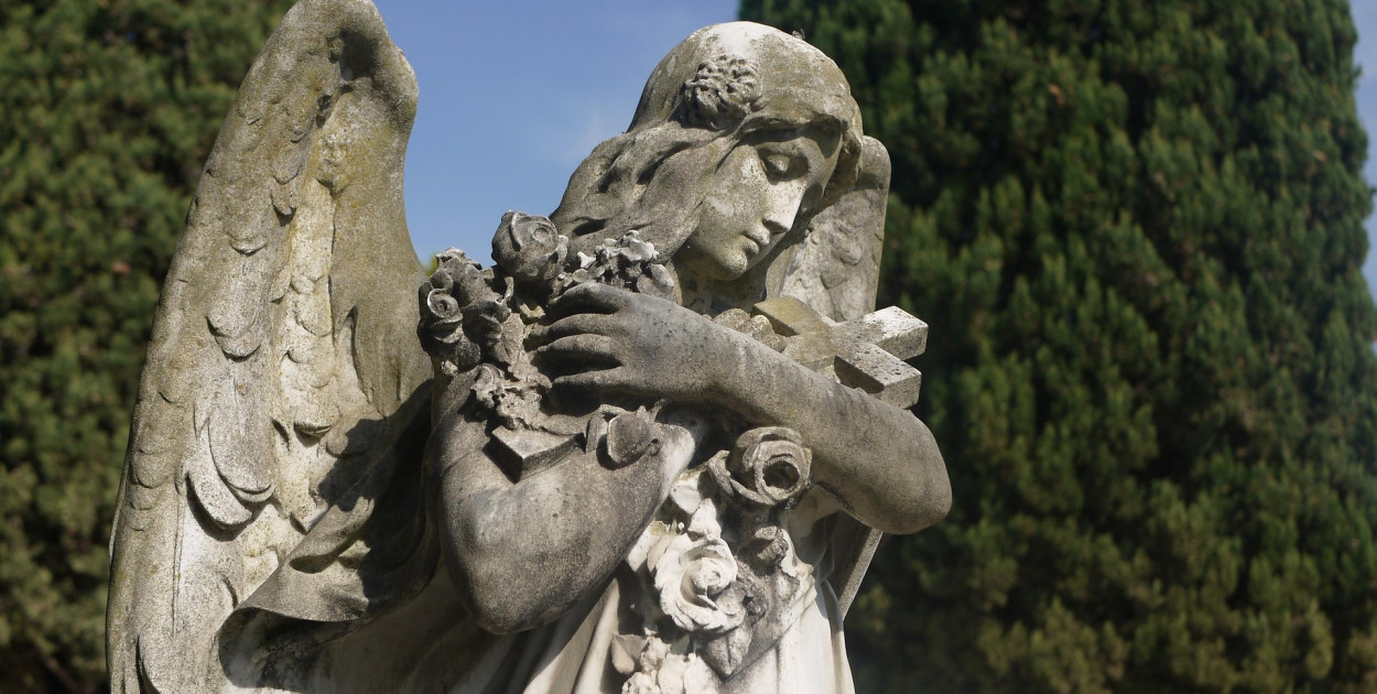 Image by EricaGeorgiades from Pixabay