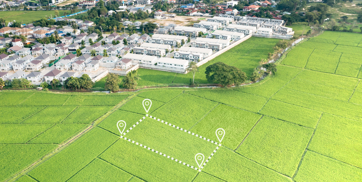  Źródło: Adobe stock | Alt: dzisłki na sprzedaż ofert