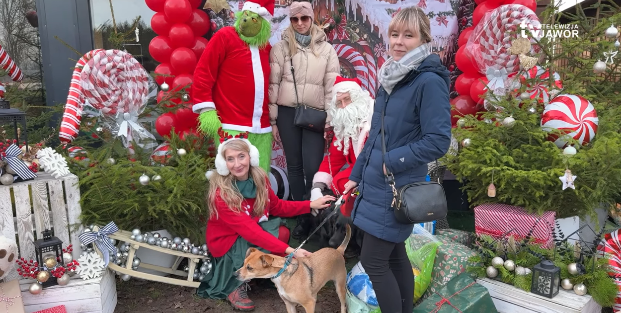 Jaworskie Przytulisko zorganizowało Mikołajki dla swoich podopiecznych (źródło: TV Jawor)