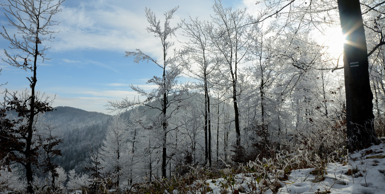 Co warto odwiedzić w Beskidach poza głównymi kurortami?