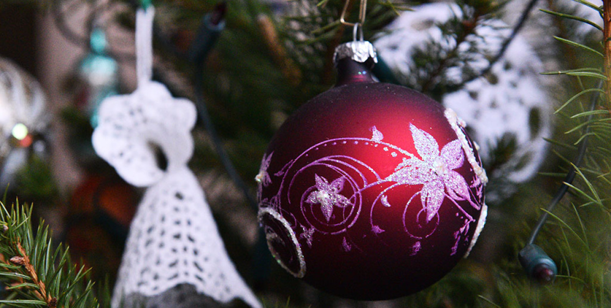 Choinka (Piotr Florek lca.pl)