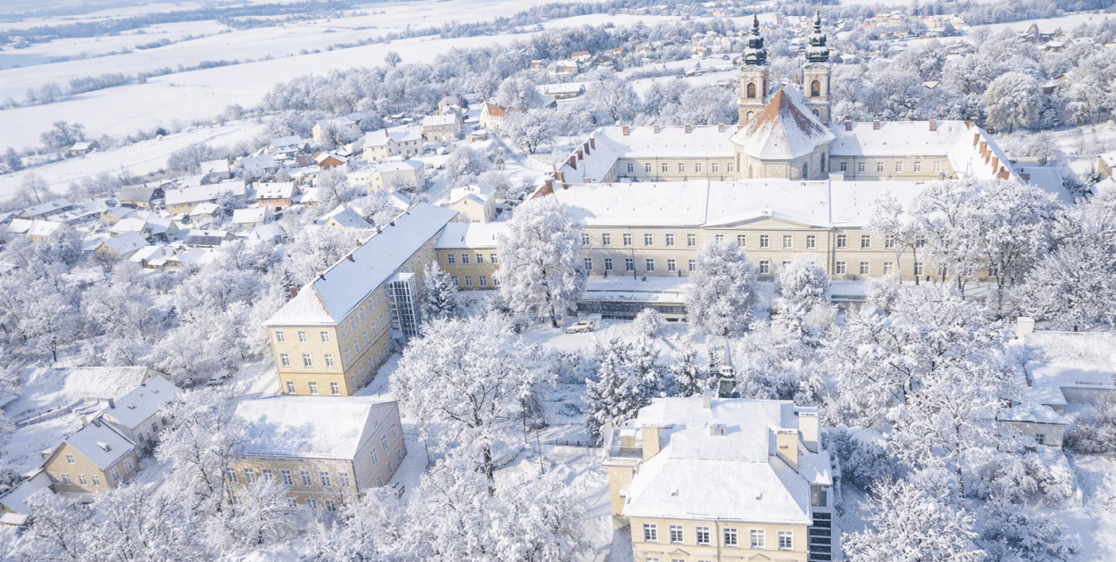 Zimowa panorama Legnickiego Pola