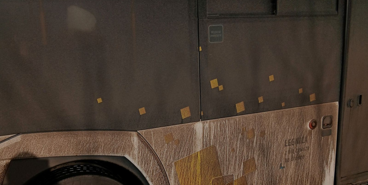 Brudne autobusy (zdjęcie czytelnika)