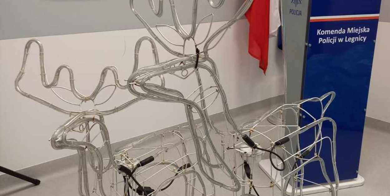 Legniczanin na warunkowym ukradł jelonki w Prochowicach