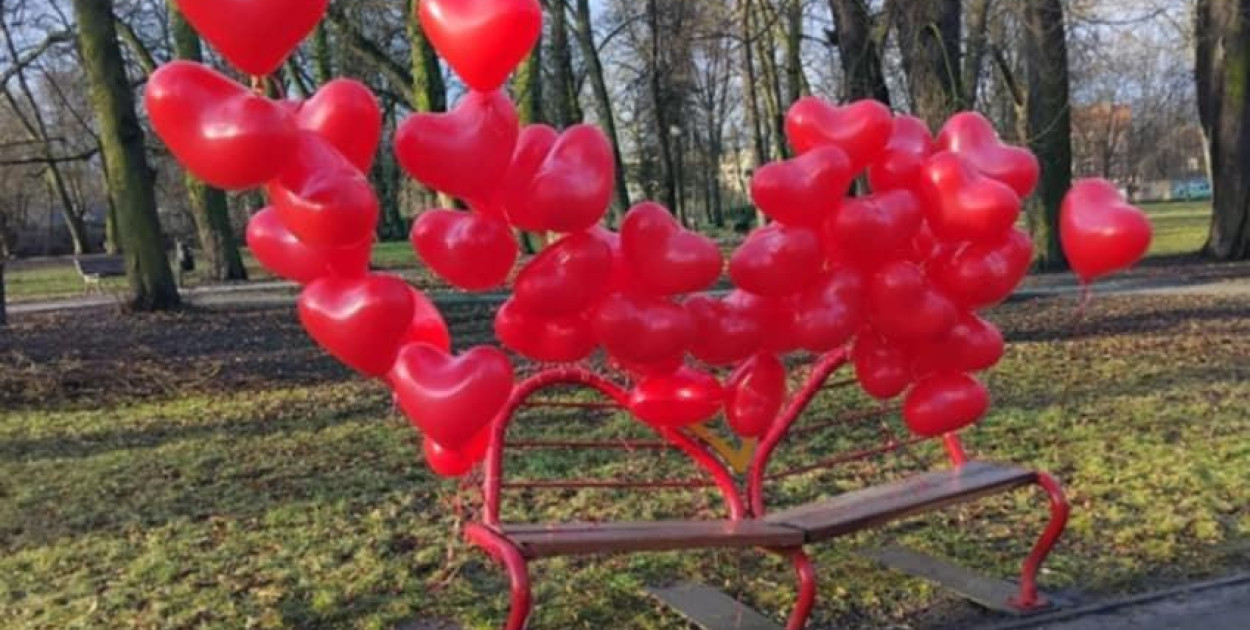 Czerwone balony ozdobiły Ławeczki Zakochanych w Chojnowie