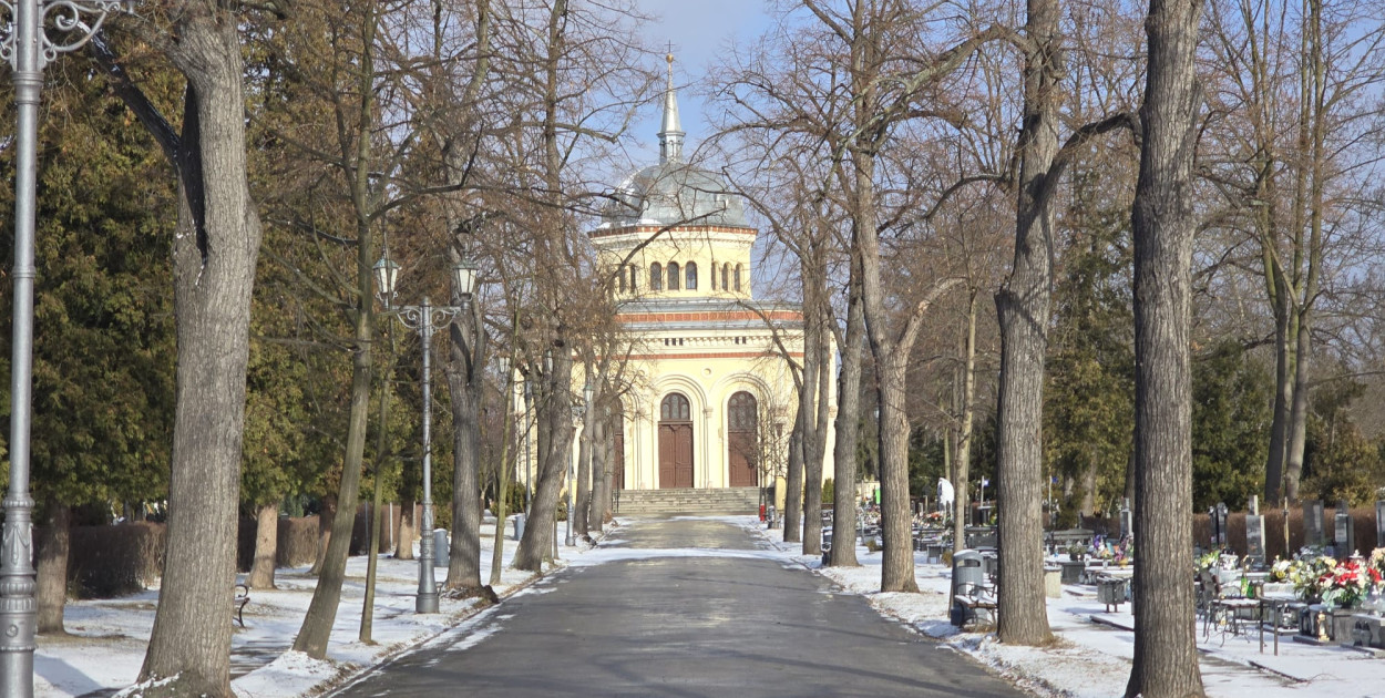 Ostatnie pożegnanie mieszkańców Legnicy: Wspominamy tych, którzy odeszli