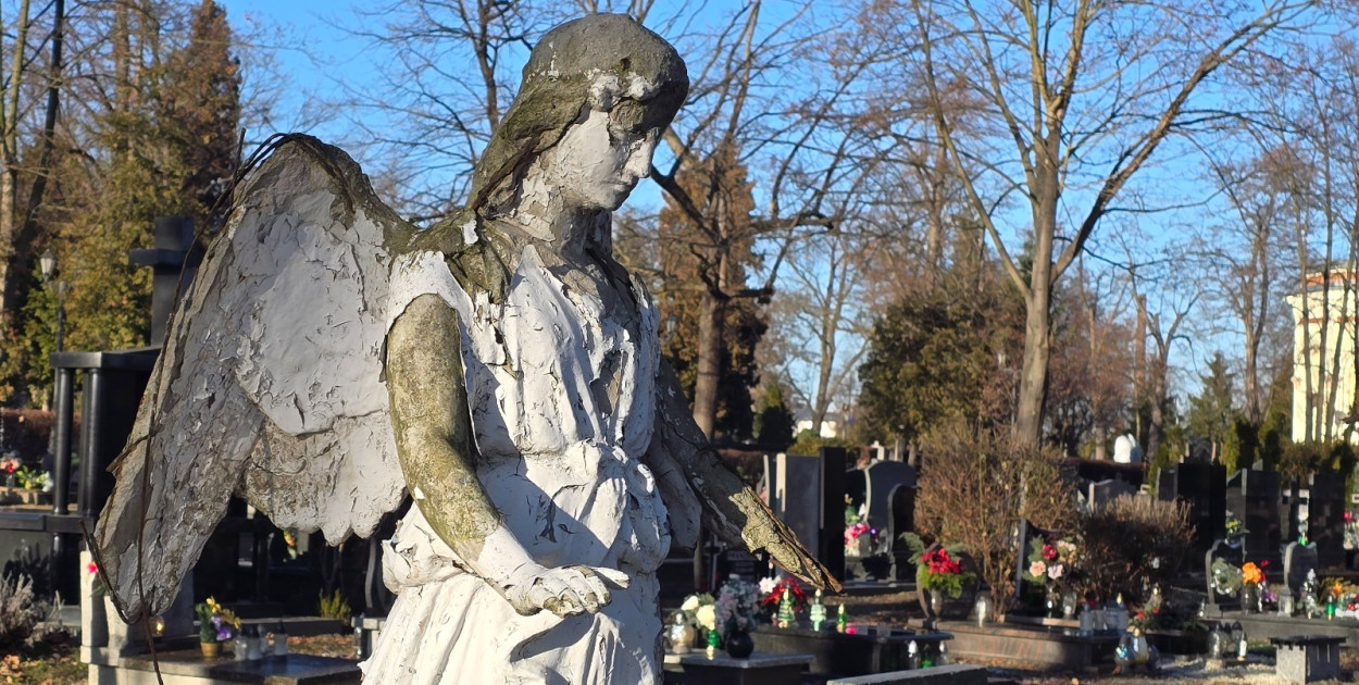 Ostatnie pożegnanie mieszkańców Legnicy. Wspominamy tych, którzy odeszli