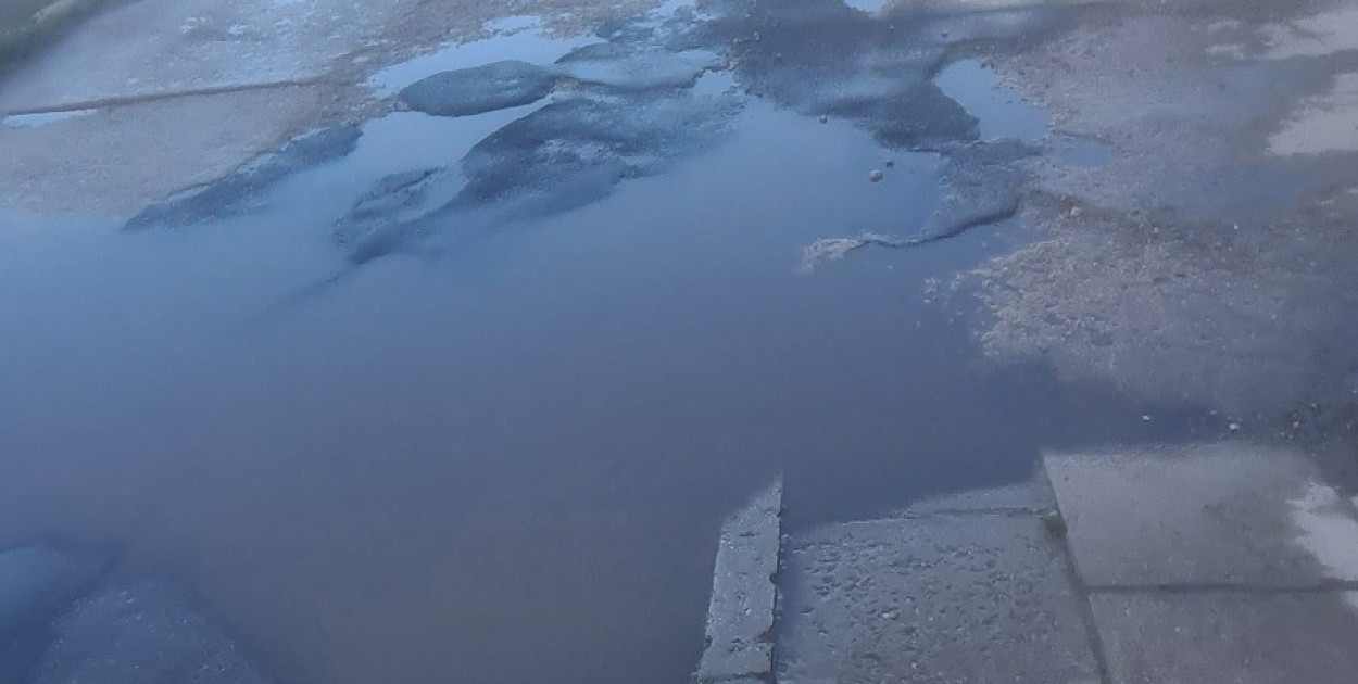 Oburzenie po naszym materiale. Czytelnik pokazał Krzemieniecką