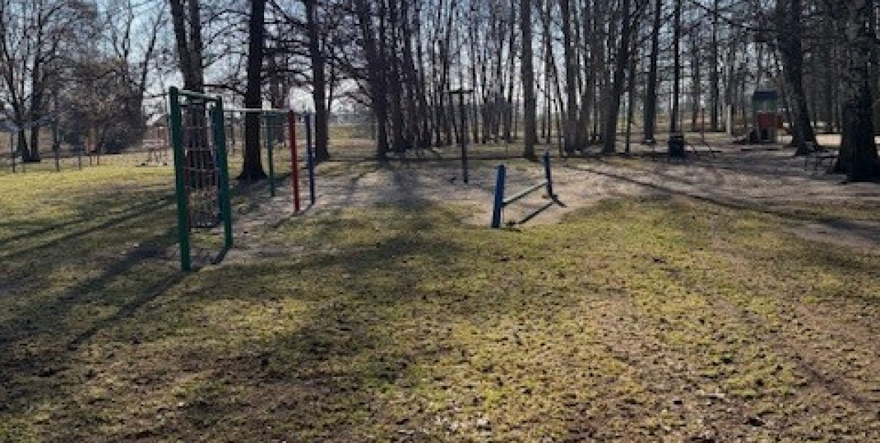 Grabie i zamiatarki poszły w ruch. Trwają wiosenne porządki