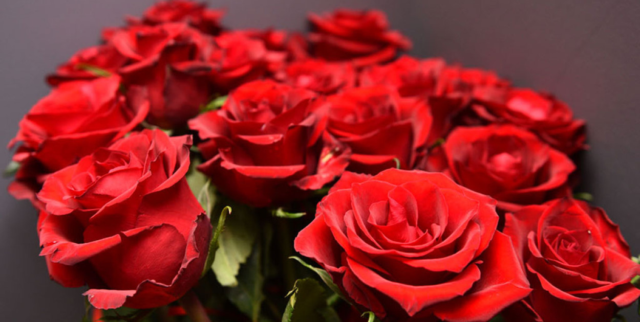 Dziś Wasze święto. Życzenia od redakcji Portalu Lca.pl