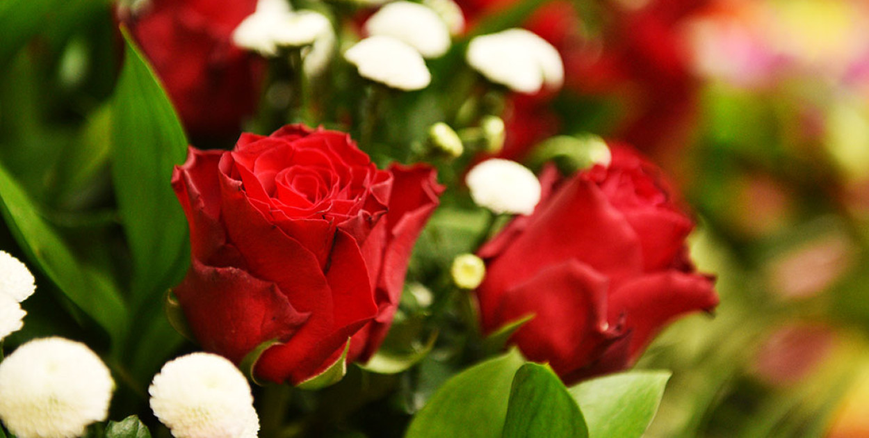 Zdrowia, radości i spełnienia marzeń. Życzenia dla pań z gminy Kunice