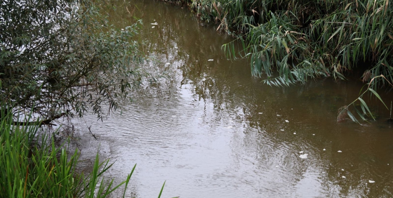 Zanieczyszczenie rzeki Czarna Woda. Wodociągi usunęły awarię