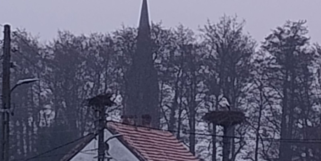 Bocian wrócił do Bieniowic wcześniej niż rok temu. Czy to oznaka wiosny?