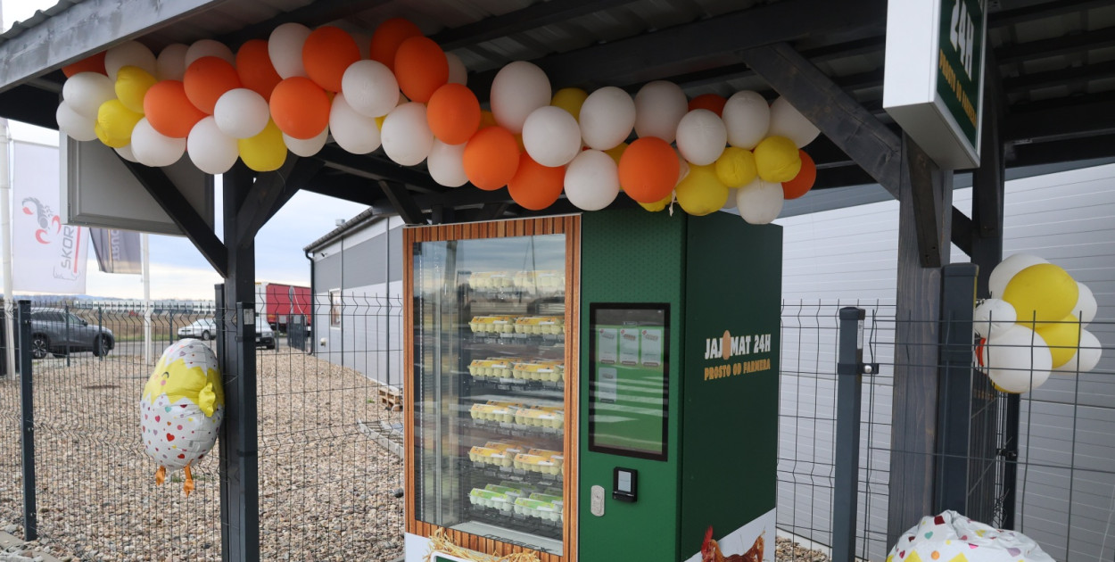 Świeże jajka prosto od rolnika dostępne przez całą dobę w Legnicy