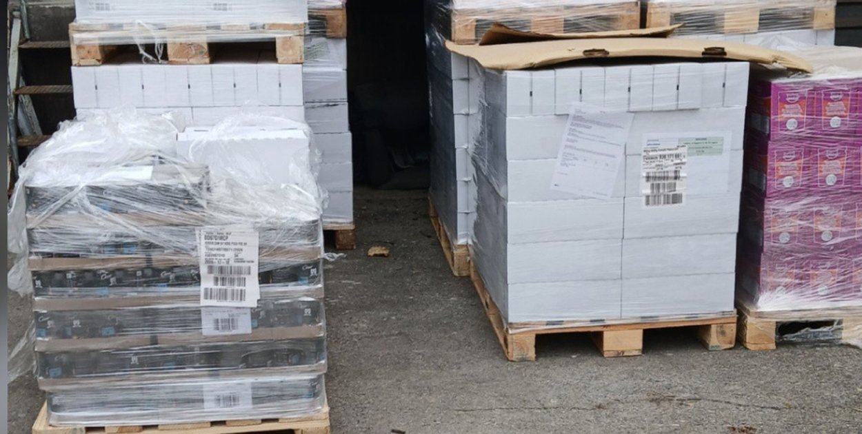 Wsparcie dla legnickich kotów wolnożyjących