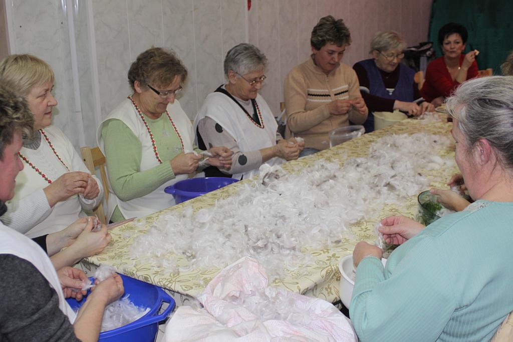 Darcie pierza w Krotoszycach- FOTO:Wojciech Obremski (lca.pl)