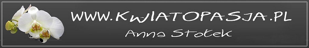 Kwiatopasja- FOTO:Kwiatopasja