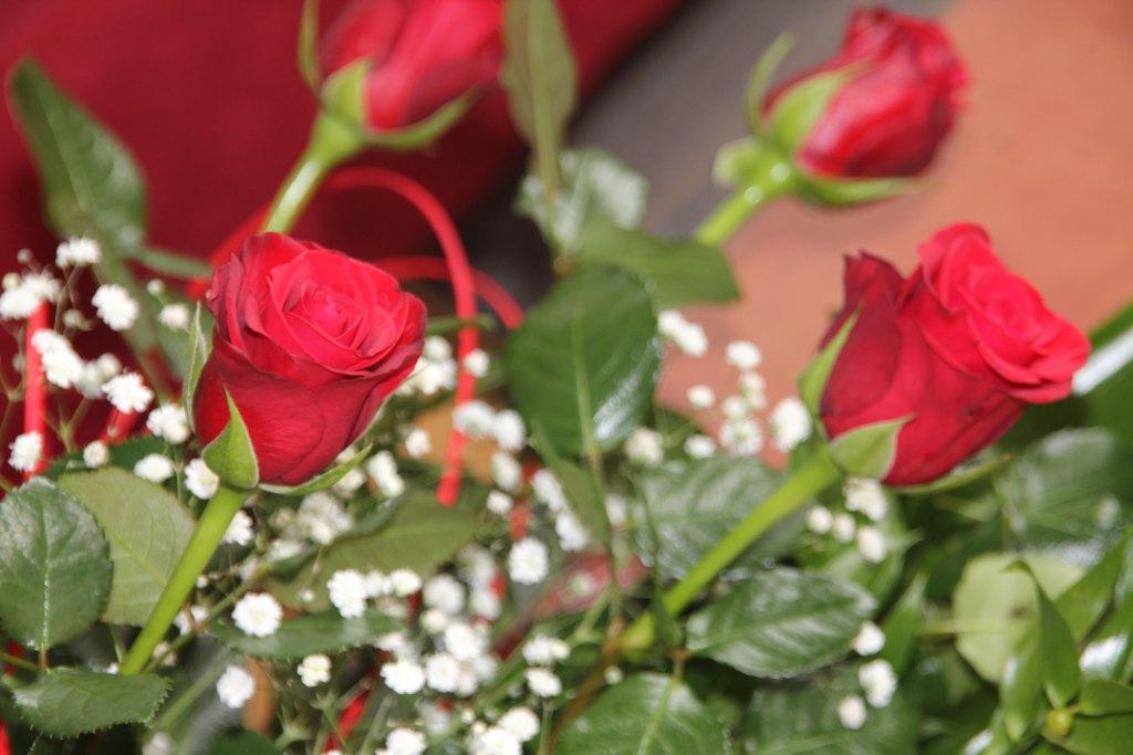 Kwiaty- FOTO:Wojciech Obremski (lca.pl)