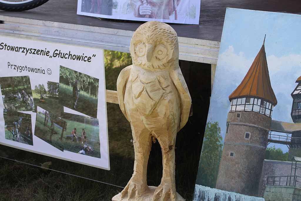 Plener w Głuchowicach- FOTO:Wojciech Obremski (lca.pl)