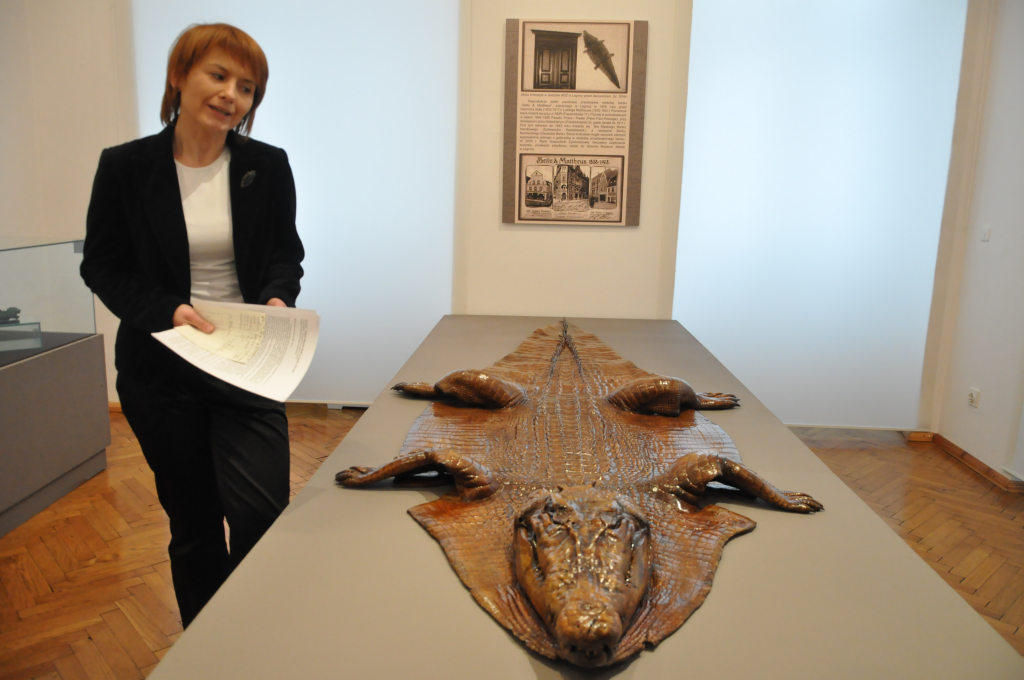 Skóra krokodyla nilowego- FOTO:MB (lca.pl)