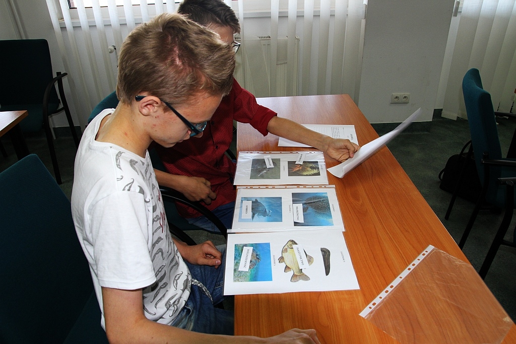 Międzygimnazjalny Maraton Ekologiczny- FOTO:WP(lca.pl)