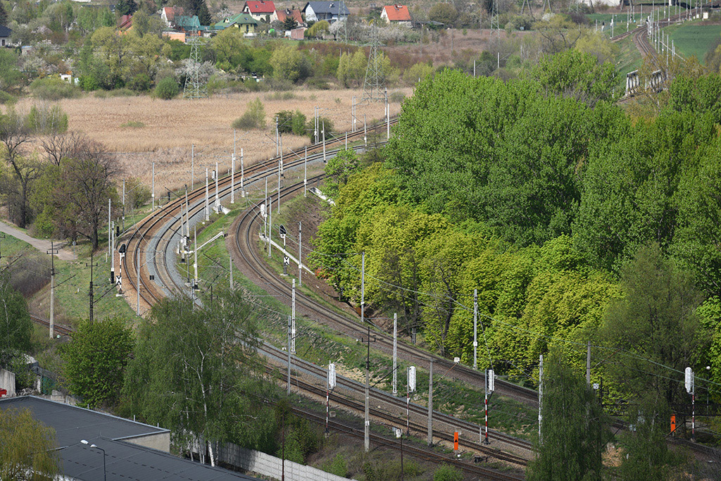 Wieża św. Piotra- FOTO:Piotr Florek (lca.pl)